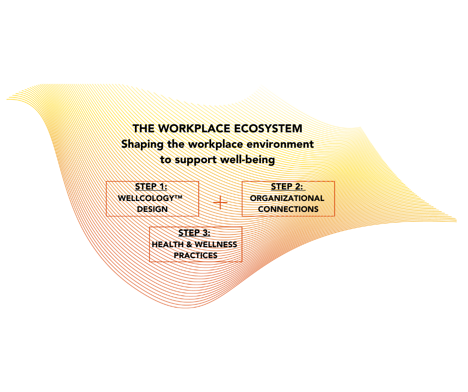 The Workplace Ecosystem - shaping the workplace environment to support well-being. Step 1: Wellcology™ Design. Step 2: Organizational Connections. Step 3: Health and Wellness Practices.